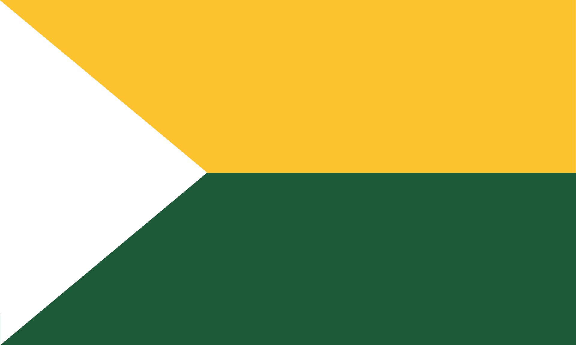 Bandera institucional